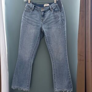 Hatch Crop Maternity Jean